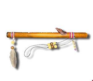 کنا فلوت مدل AW_E1